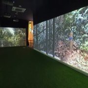 Projection Mapping Forett