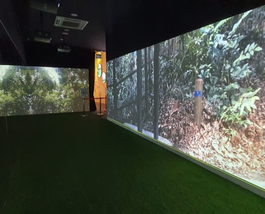 Projection Mapping Forett