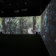 Projection Mapping Forett