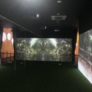 Projection Mapping Forett