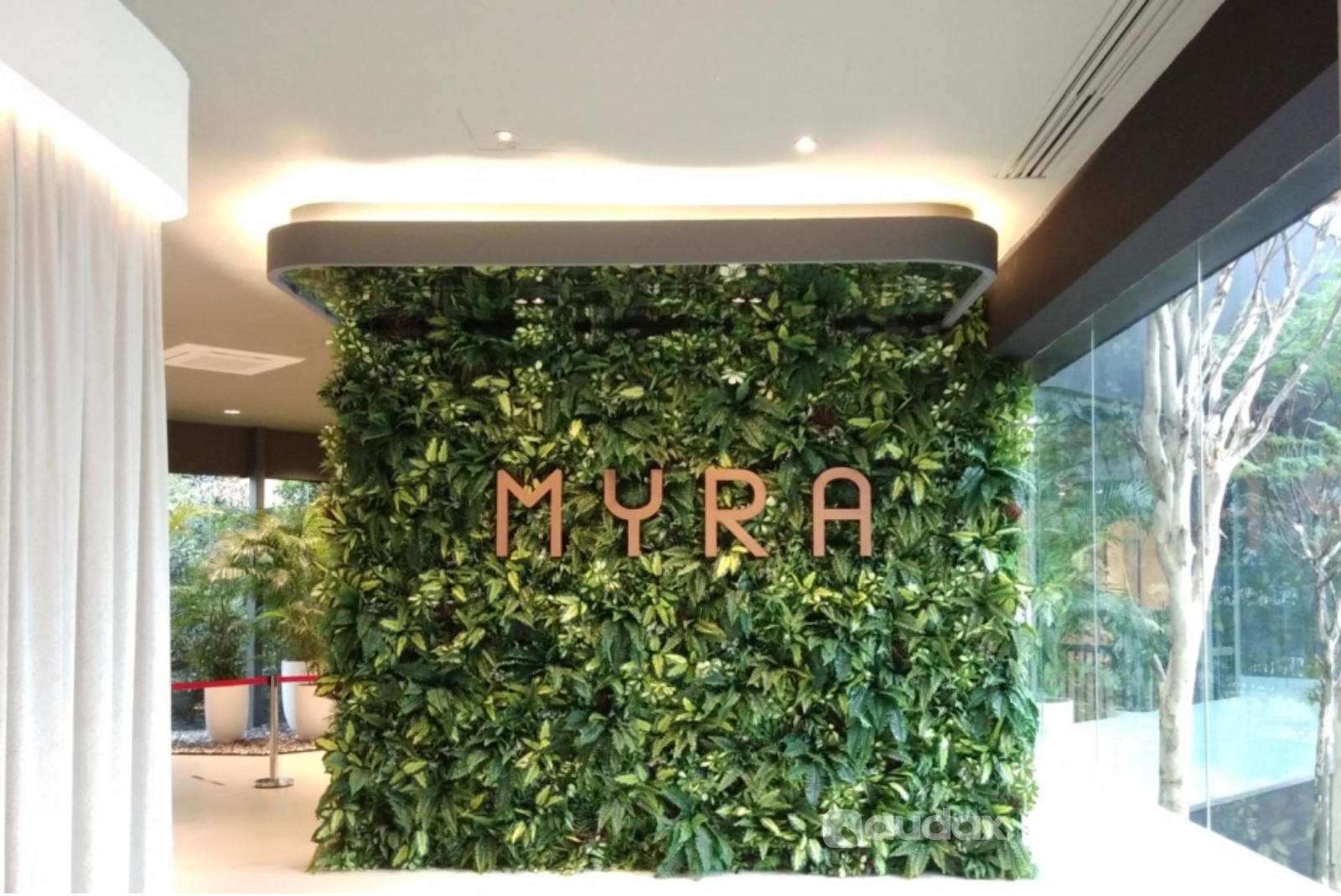 Light Box Display by Audax